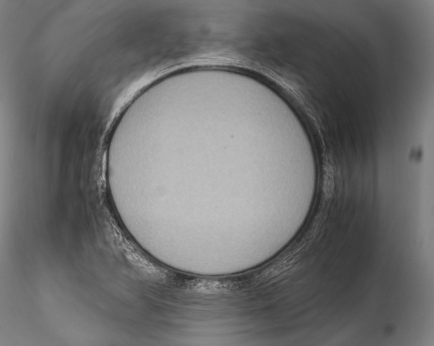 X0000115311366200911301526