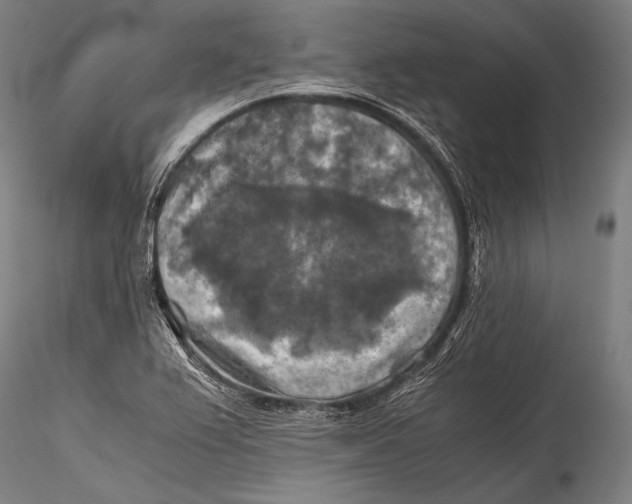 X0000115311367200911301526