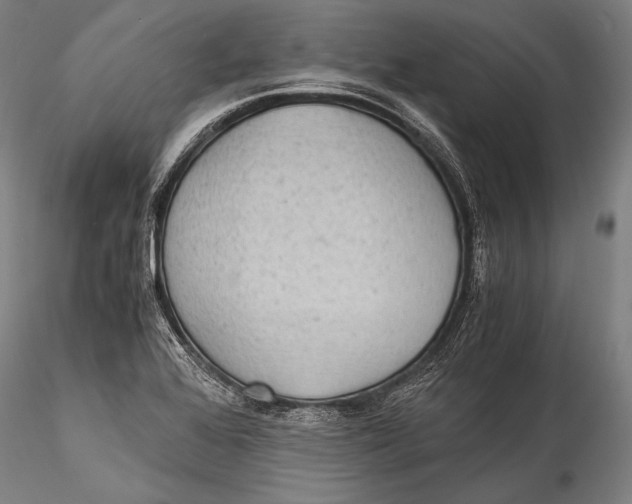 X0000115311368200911301526