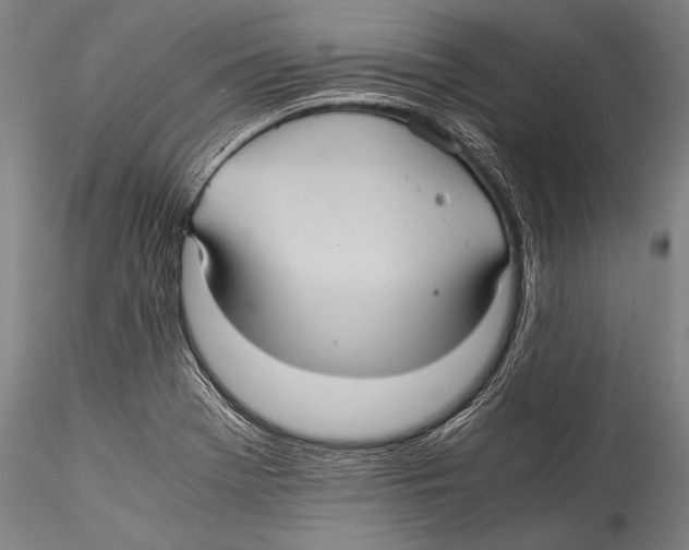 X0000115311369200911301526