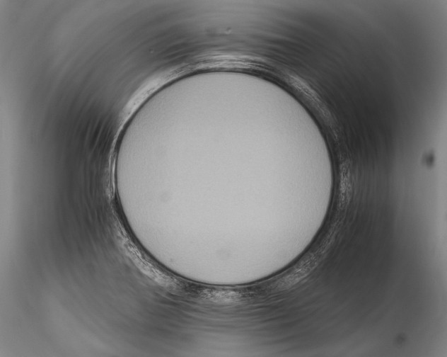 X0000115311370200911301526