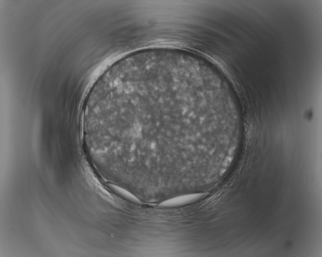 X0000115311371200911301526