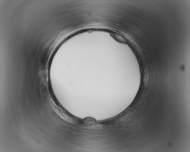 X0000115311372200911301526