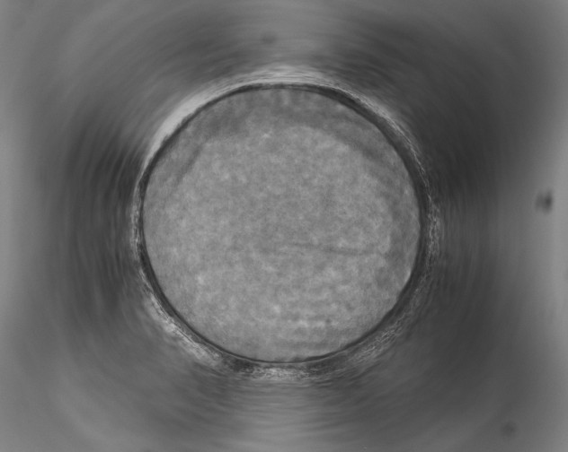 X0000115311374200911301526