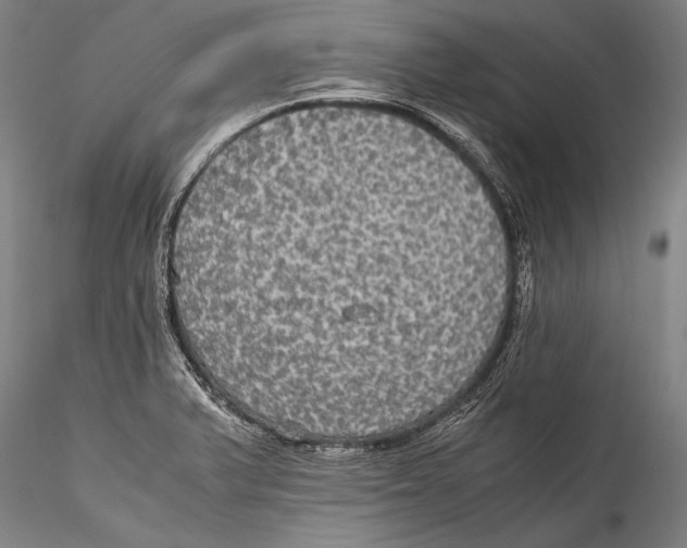 X0000115311375200911301526