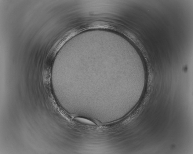 X0000115311377200911301526