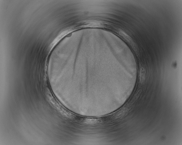 X0000115311378200911301526