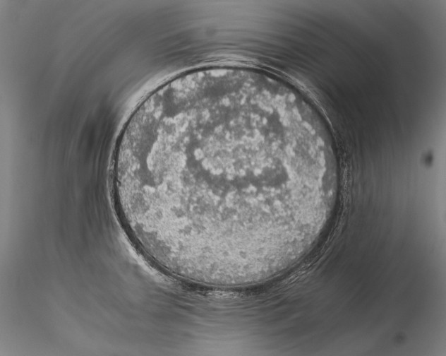 X0000115311379200911301526