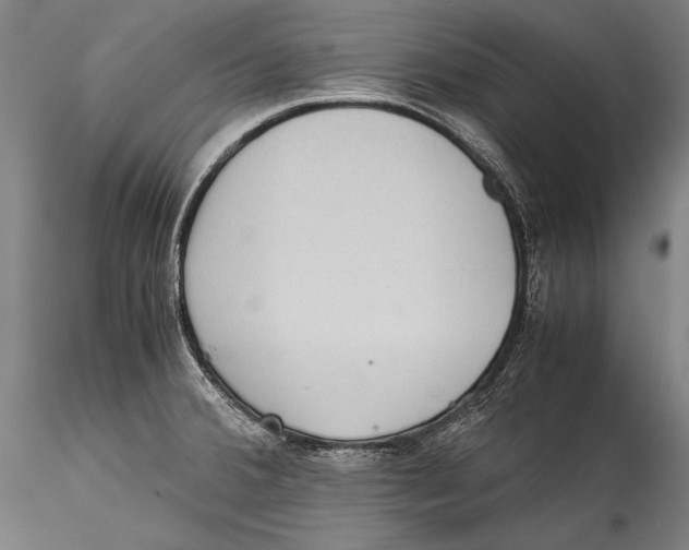 X0000115311380200911301526