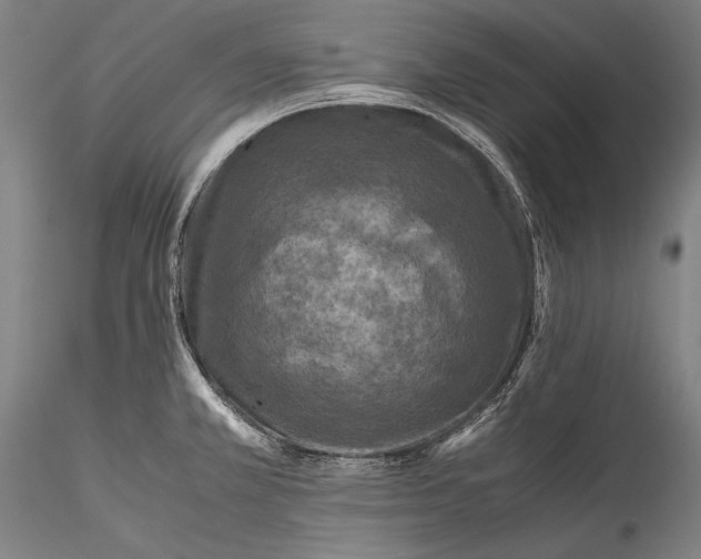 X0000115311381200911301526