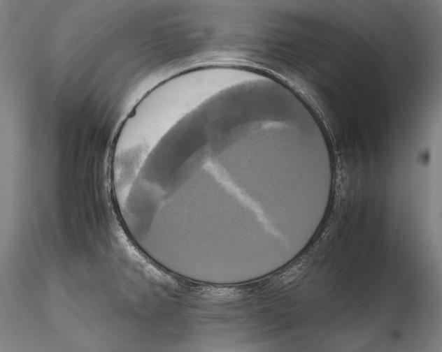 X0000115311382200911301526