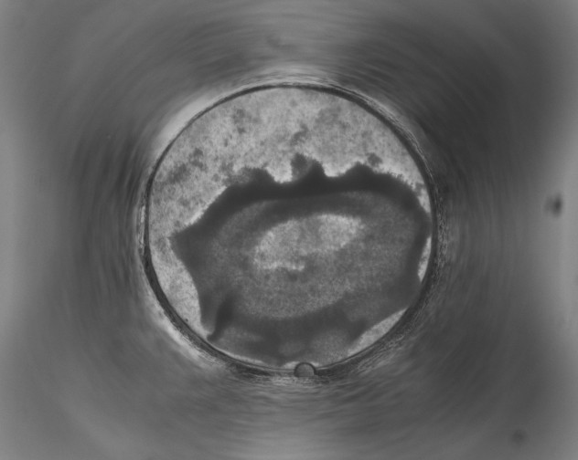 X0000115311383200911301526