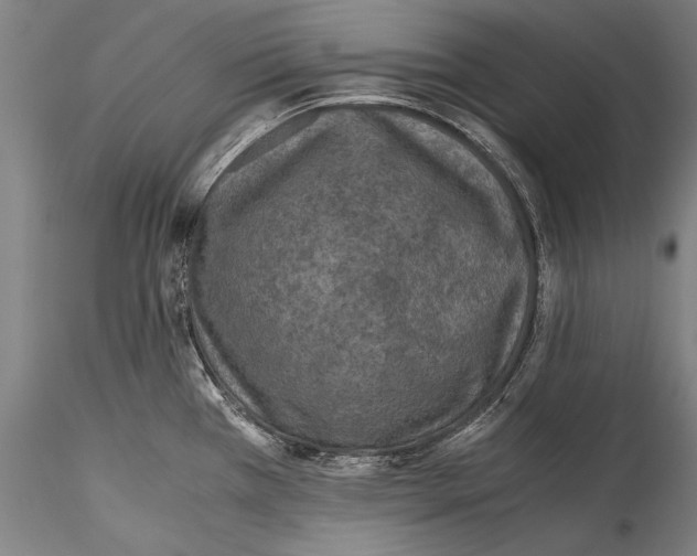 X0000115311385200911301526