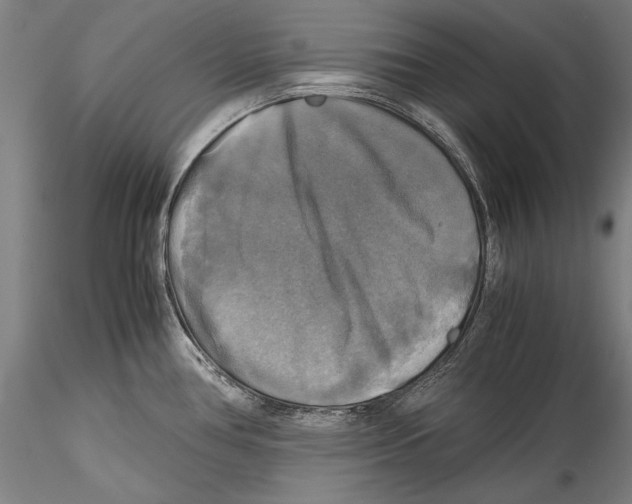 X0000115311386200911301525