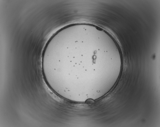 X0000115311388200911301525