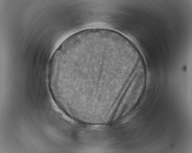 X0000115311390200911301525