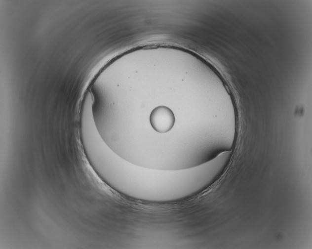 X0000115311392200911301525