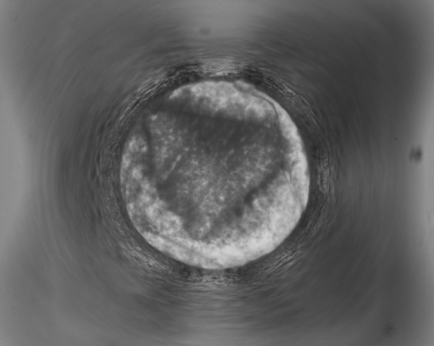 X0000115311393200911301525