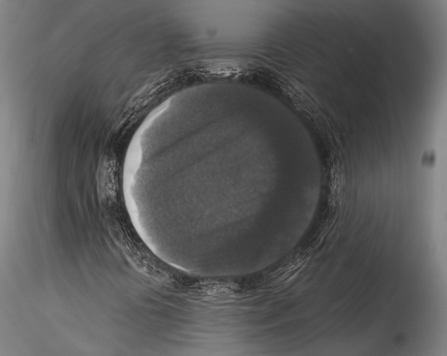 X0000115311394200911301525