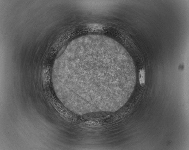 X0000115311395200911301525