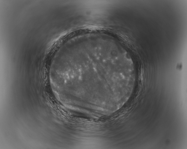 X0000115311398200911301525