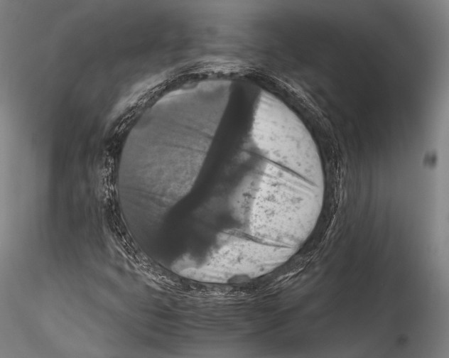 X0000115311399200911301525