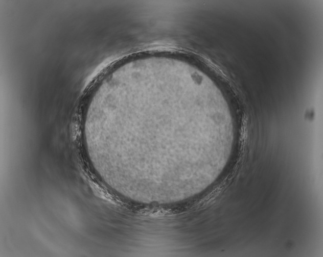 X0000115311400200911301525