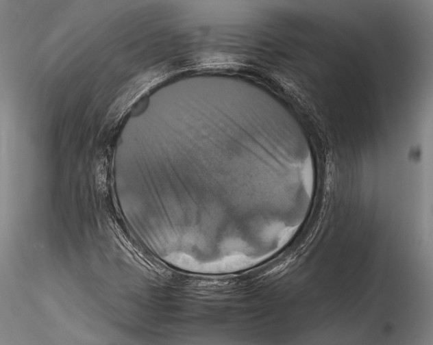 X0000115311401200911301525