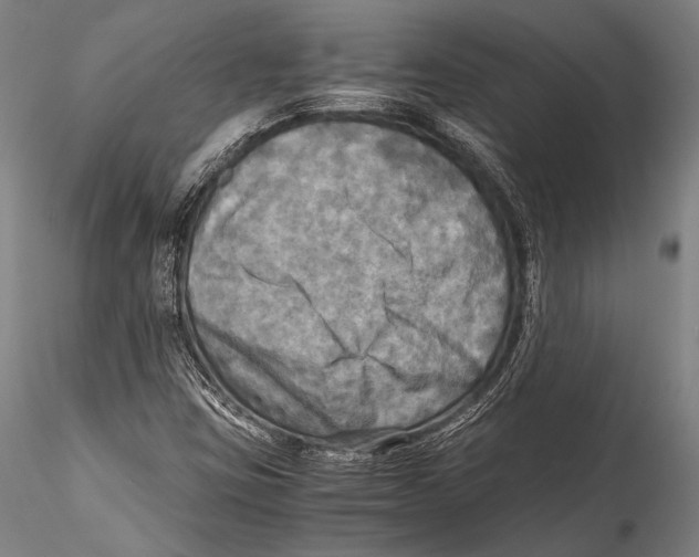 X0000115311403200911301525