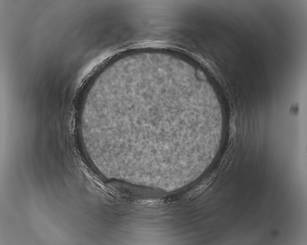 X0000115311406200911301525