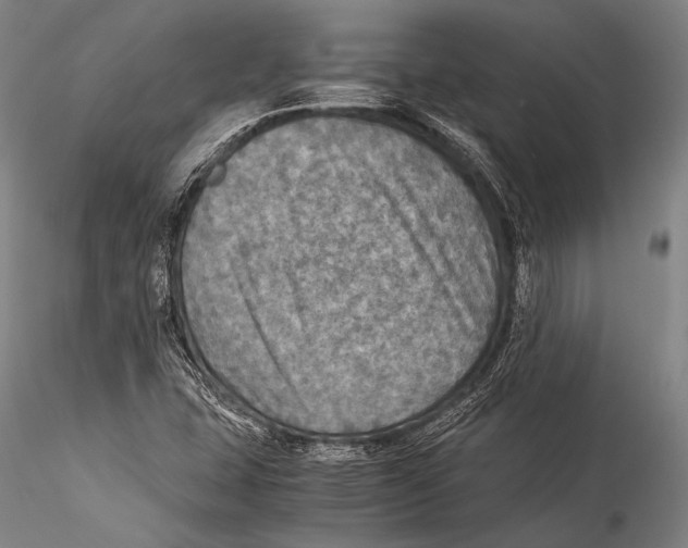 X0000115311407200911301525