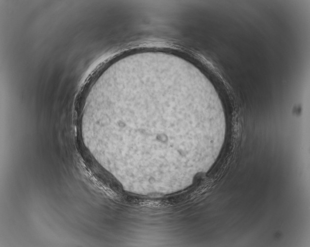 X0000115311408200911301525