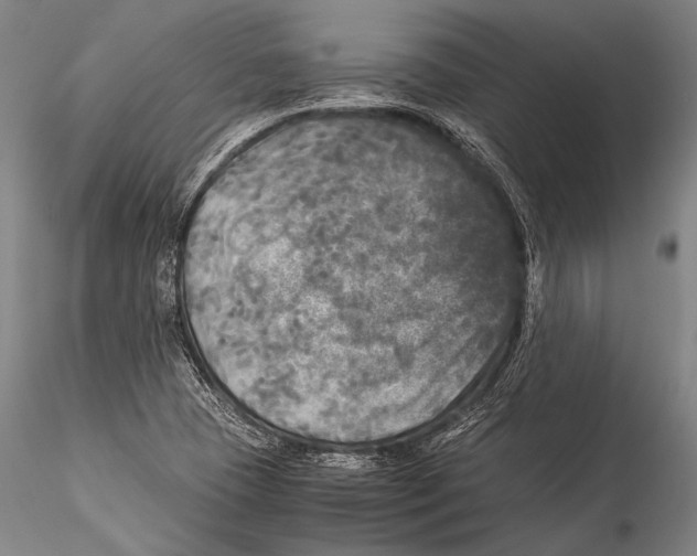 X0000115311409200911301525