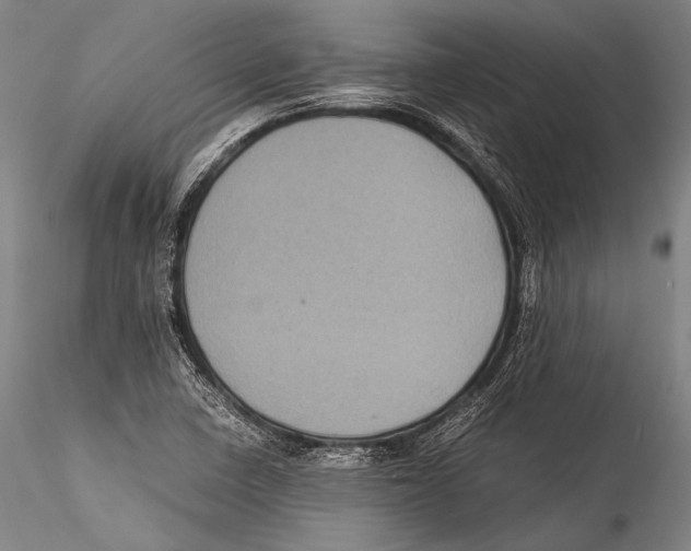 X0000115311410200911301525