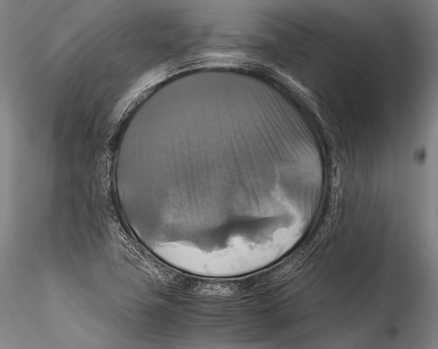 X0000115311411200911301525