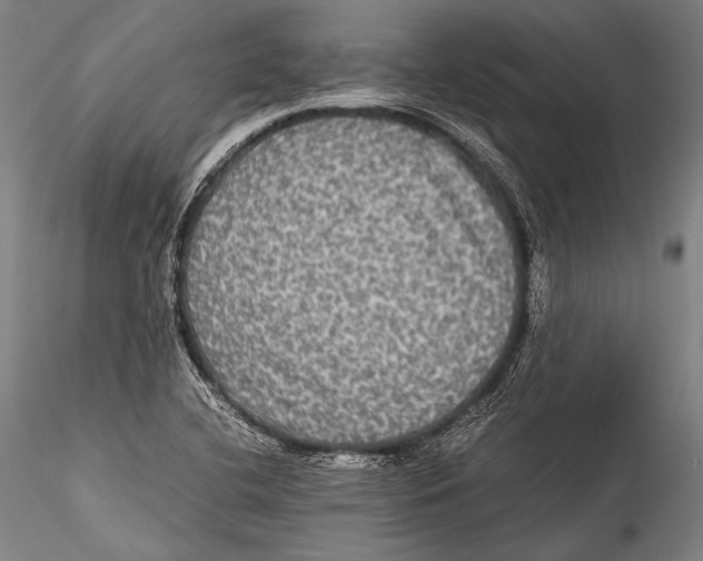 X0000115311412200911301525