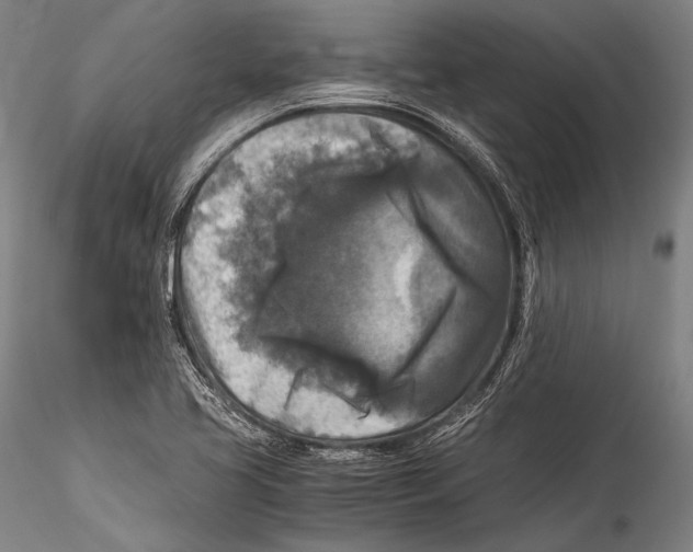 X0000115311413200911301525