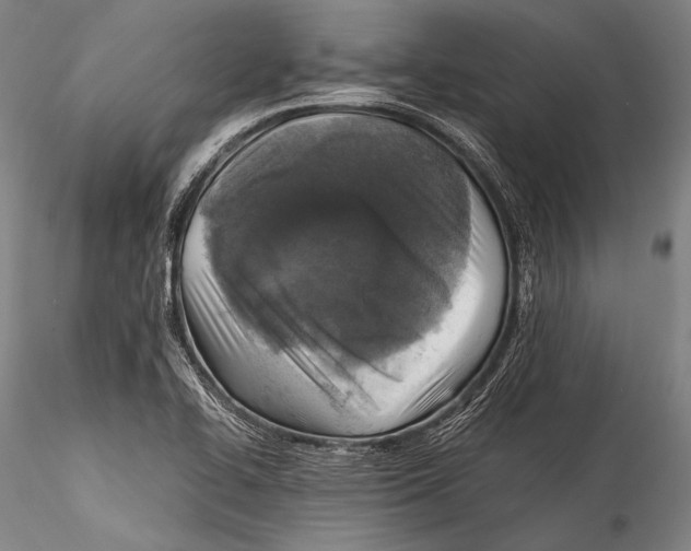 X0000115311414200911301525