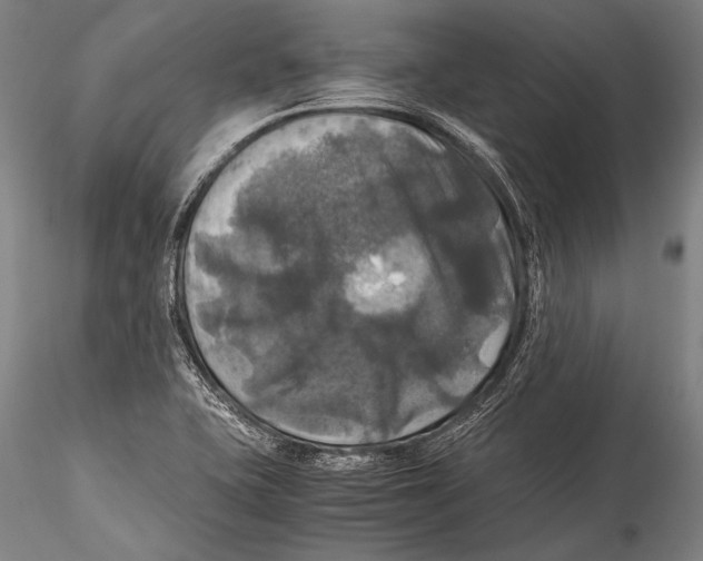 X0000115311415200911301525