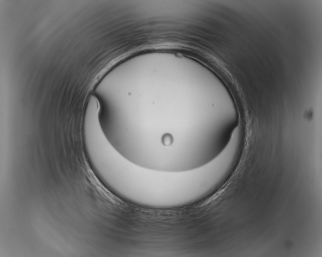 X0000115311417200911301525