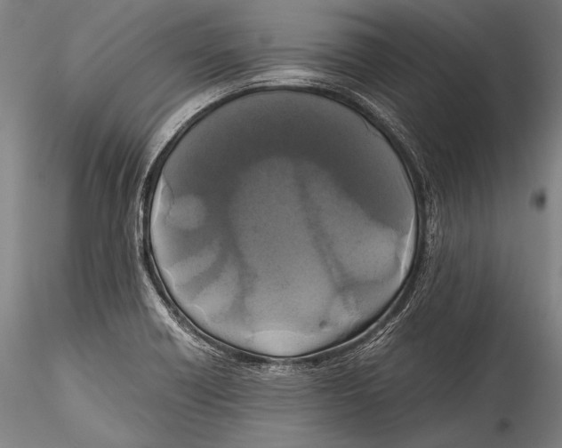 X0000115311418200911301525