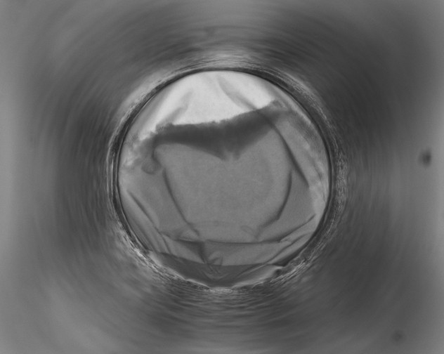 X0000115311419200911301525