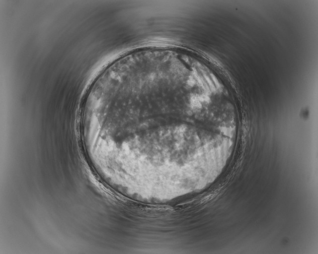 X0000115311421200911301525