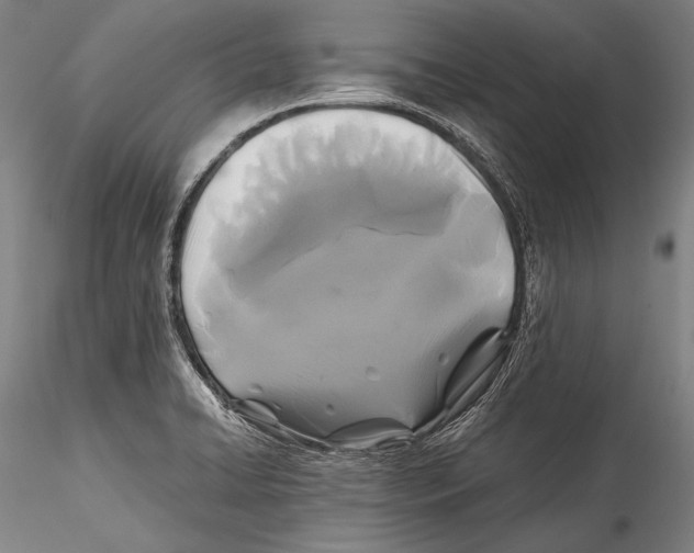 X0000115311422200911301525