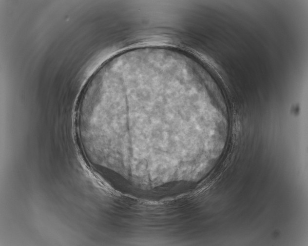 X0000115311423200911301525