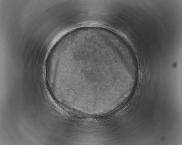 X0000115311424200911301525