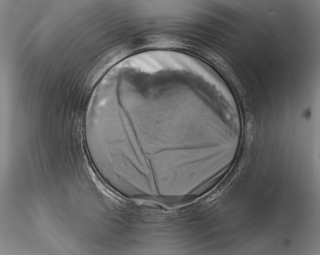 X0000115311425200911301525