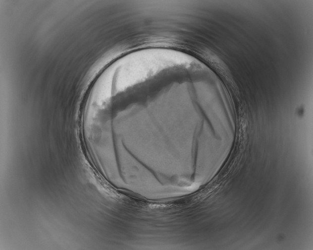 X0000115311427200911301525