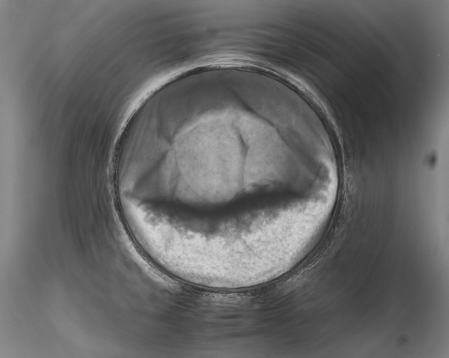 X0000115311429200911301525