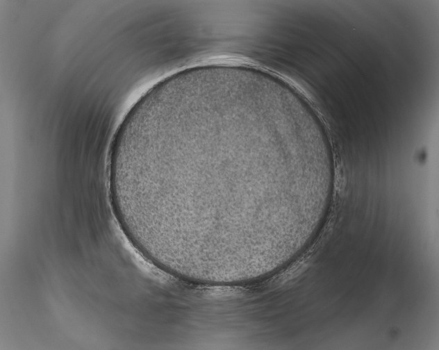 X0000115311430200911301525